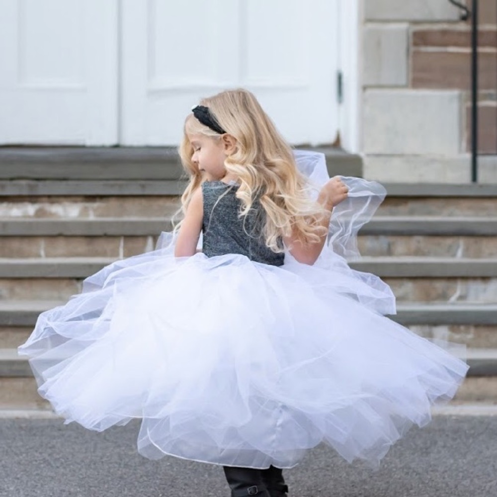 NWT. 2T-3T Metallic Silver Fluffy Tutu Tulle Dress - Picture 3 of 7